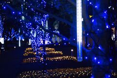 横浜イルミネーション