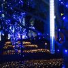 横浜イルミネーション