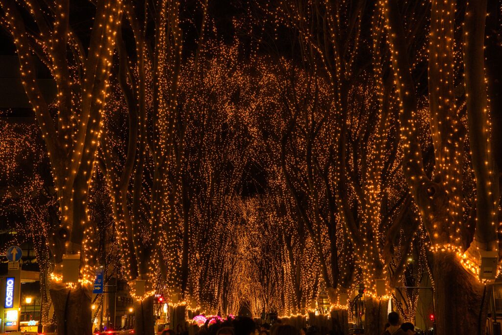 仙台冬の風物詩