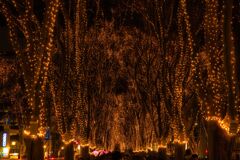 仙台冬の風物詩