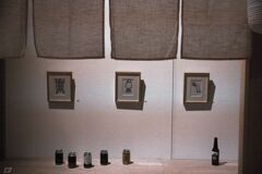 亀、イカ、アシカ（浜田雅功展）