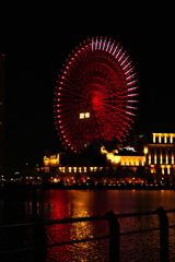 海に赤く染まるコスモクロック