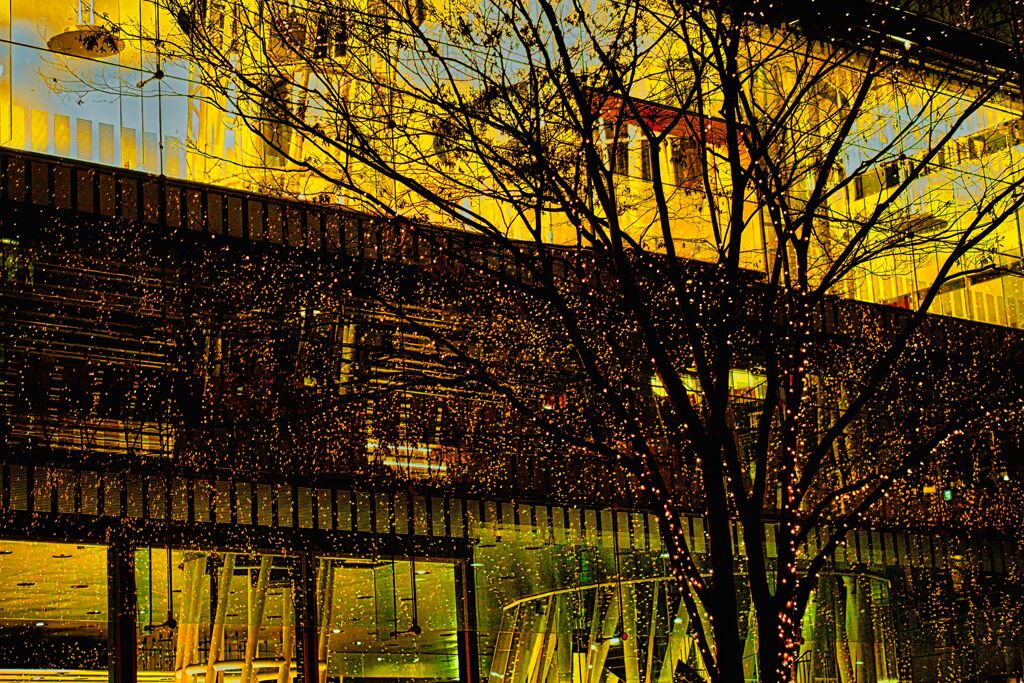 ガラス越しに流星群