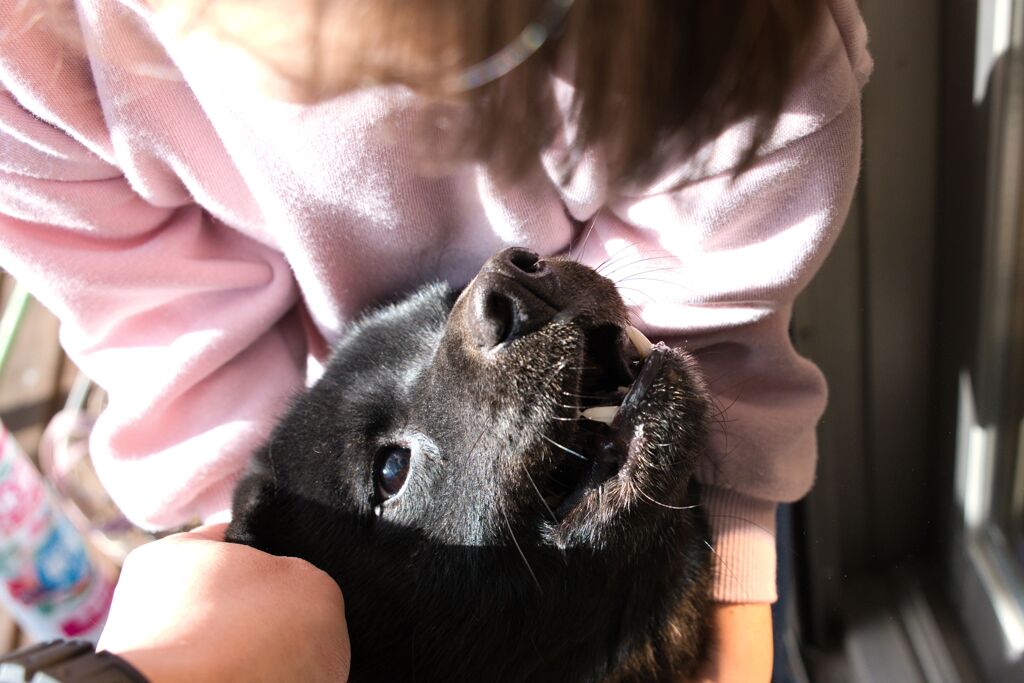 いじらないで～