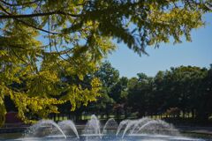 秋の七北田公園