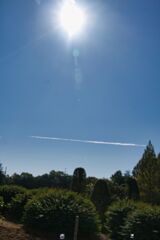 秋晴れに飛行機雲