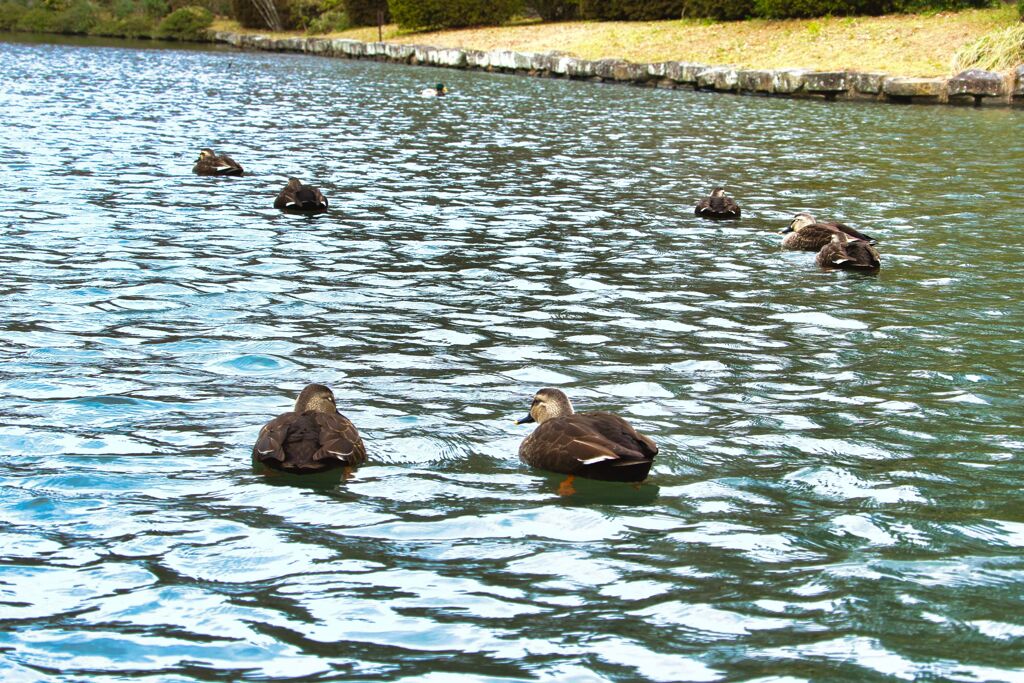 ゴールのない競争