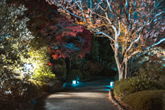 大仙公園日本庭園８