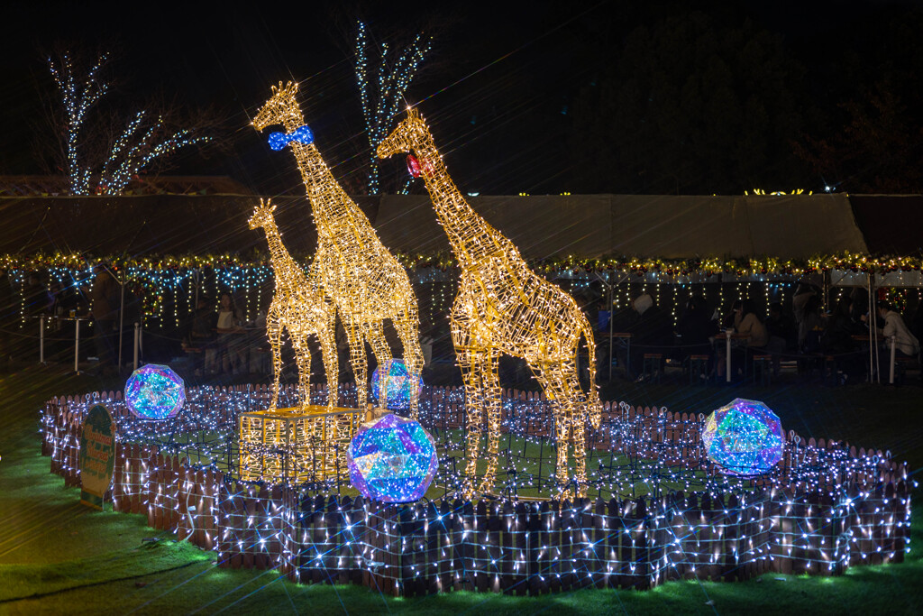 てんしばクリスマスマーケット４