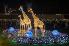 てんしばクリスマスマーケット４