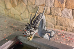 大仙公園日本庭園龍