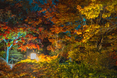 大仙公園日本庭園１