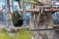天王寺動物園１３