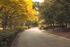 秋の長居公園１