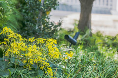 なんばパークス４