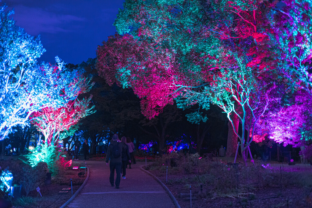 長居植物園・チームラボ１