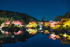 大仙公園日本庭園７