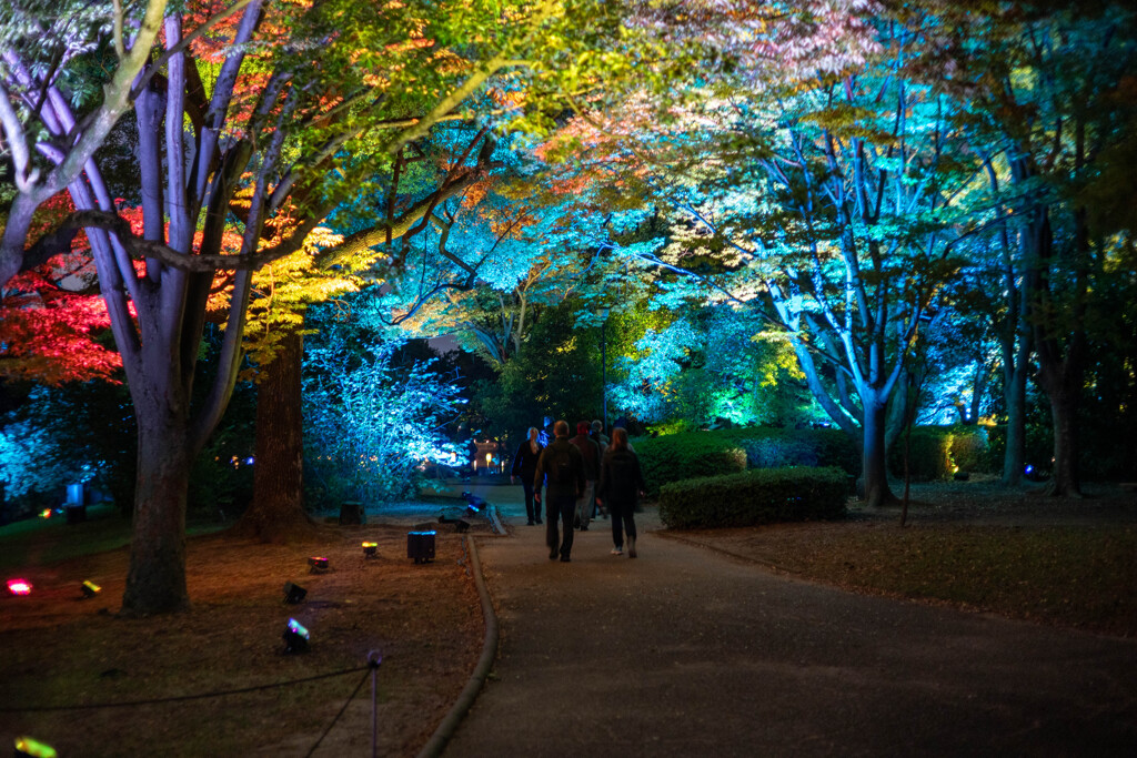 長居植物園・チームラボ２
