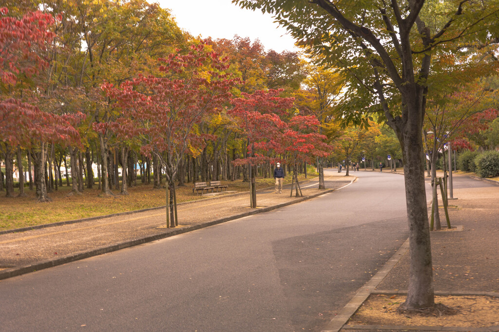 秋の長居公園２