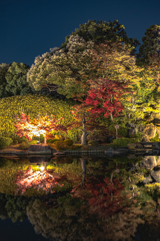 大仙公園日本庭園６