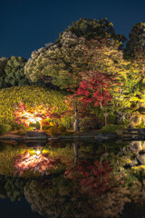 大仙公園日本庭園６