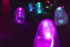 長居植物園・チームラボ６