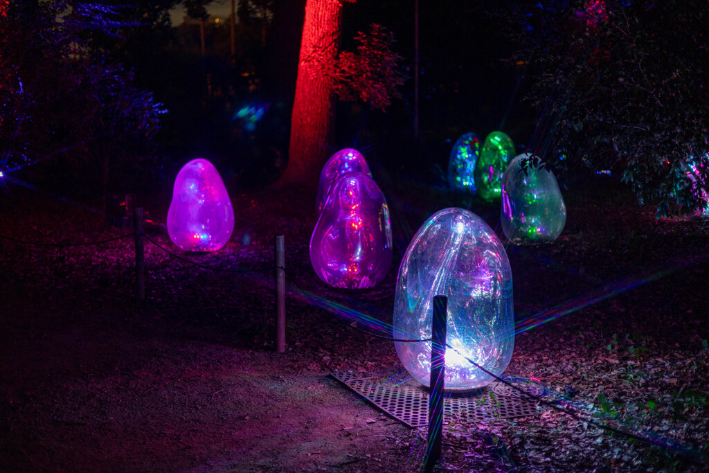 長居植物園・チームラボ４