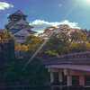 大阪城の秋