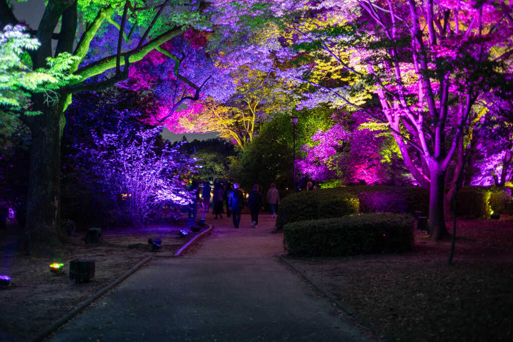 長居植物園・チームラボ３