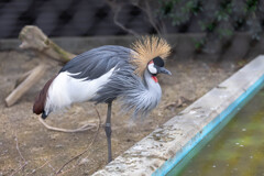 天王寺動物園４