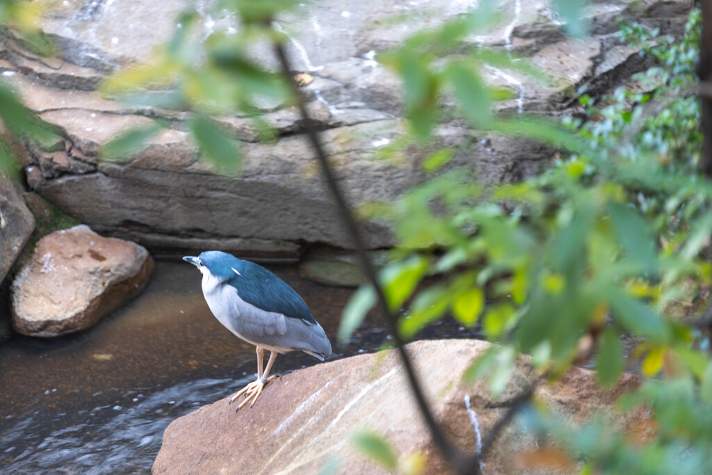 天王寺動物園１６