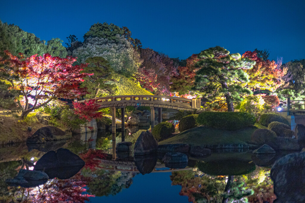 大仙公園日本庭園４