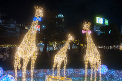 てんしばクリスマスマーケット６