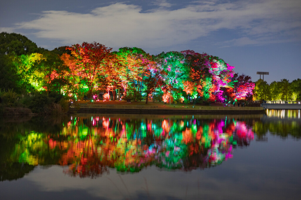 長居植物園・チームラボ７