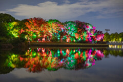 長居植物園・チームラボ７