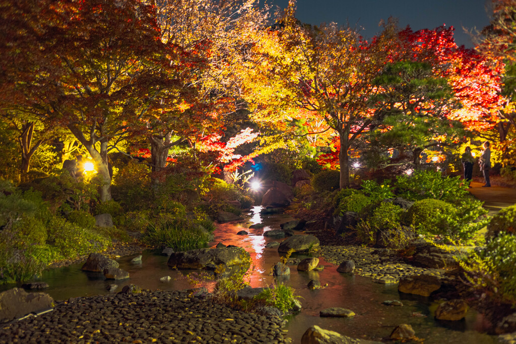 大仙公園日本庭園３