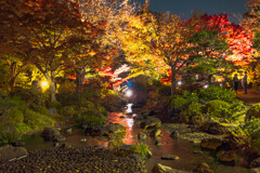 大仙公園日本庭園３