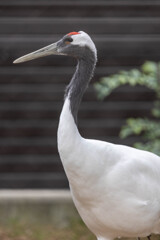 天王寺動物園３