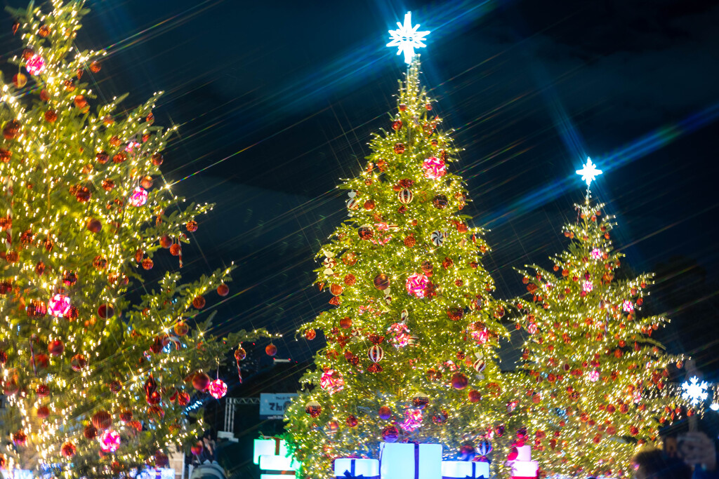 てんしばクリスマスマーケット５