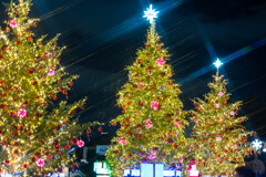 てんしばクリスマスマーケット５