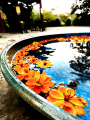 水みくじ（末吉）