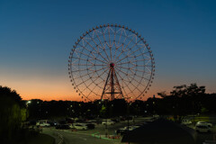 ダイヤと花の大観覧車