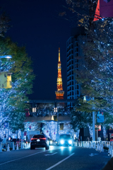 Tokyo Light Contrast