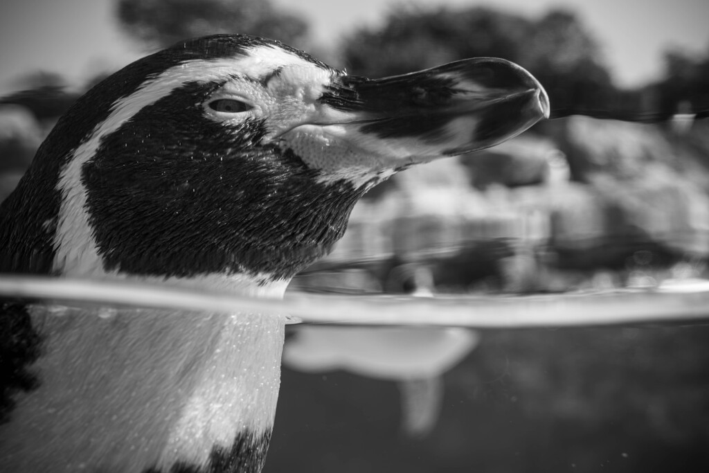 なにみとんじゃい！