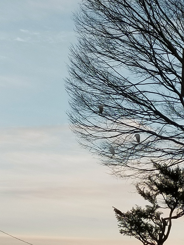 冬がやってきました