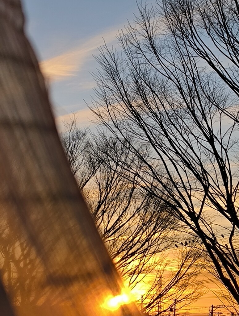 2025年大晦日の朝日