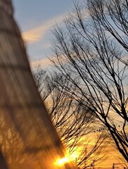 2025年大晦日の朝日