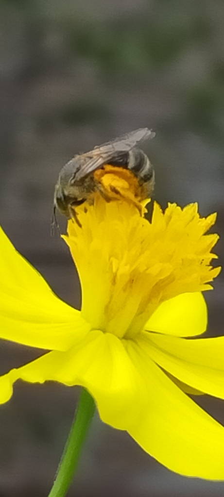 Screenshot_2022-09-17-15-48-47-31