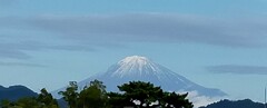 11月の富士山