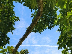 穏やかなな時間